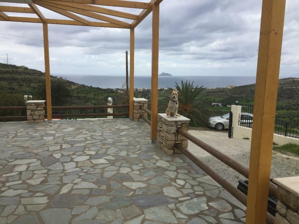 Villas Alexandros Petrino Каламаки Екстериор снимка